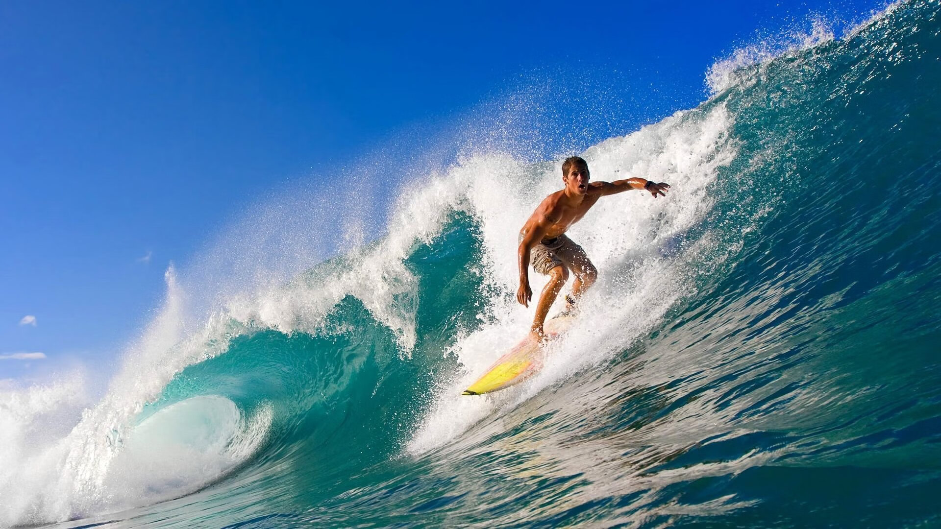 法甲外援融入城市生活报道，法甲能上几个外援